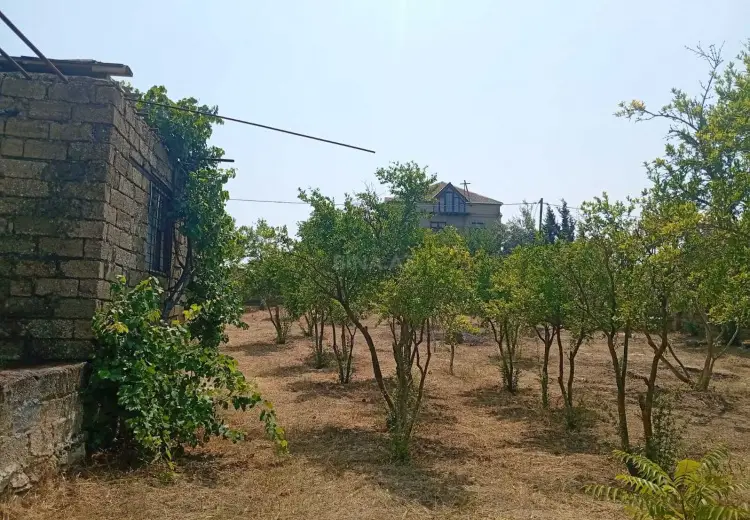 12 sot Torpaq Satılır, Dübəndi, Xəzər, Bakı