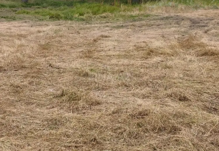 1500 sot Torpaq Satılır, Şamaxı