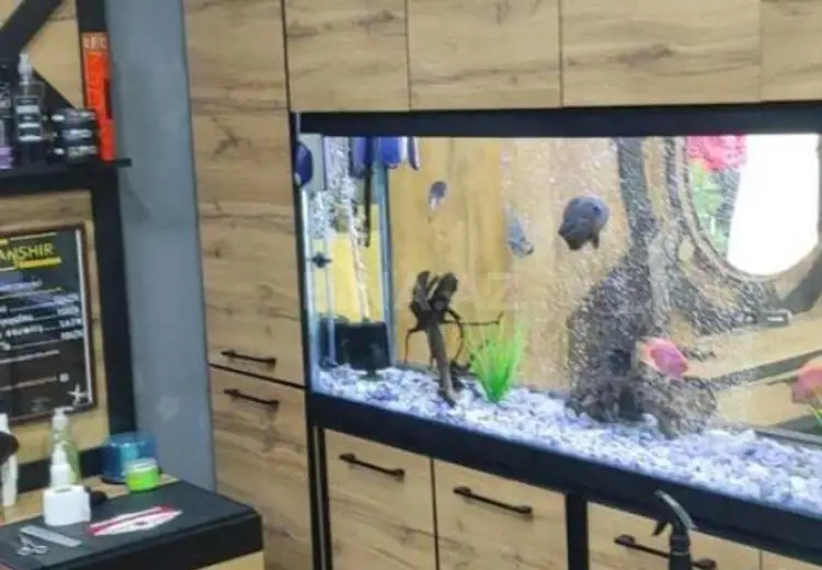 36 m² Obyekt / Ofis Kirayə (aylıq), Sahil qəs., Nəsimi, Bakı
