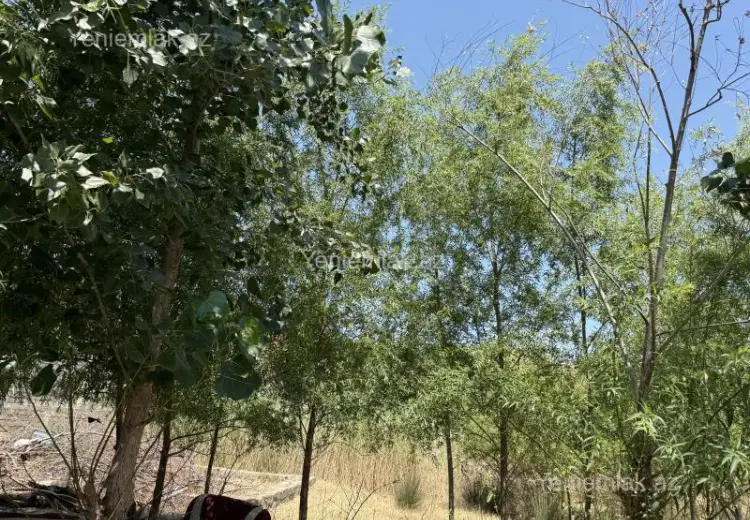 20 sot Torpaq Satılır, Buzovna, Xəzər, Bakı