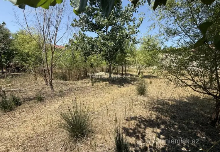 20 sot Torpaq Satılır, Buzovna, Xəzər, Bakı