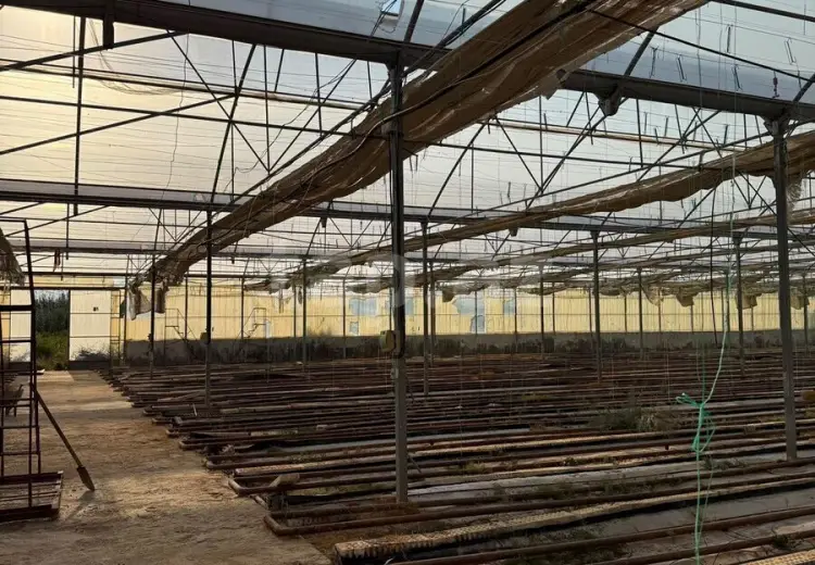 0 m² Obyekt / Ofis , Salyan