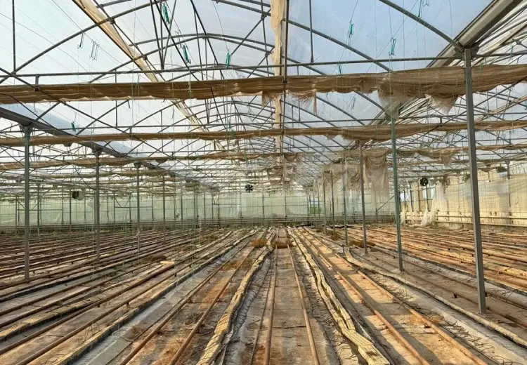 0 m² Obyekt / Ofis , Salyan