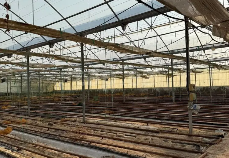 0 m² Obyekt / Ofis , Salyan