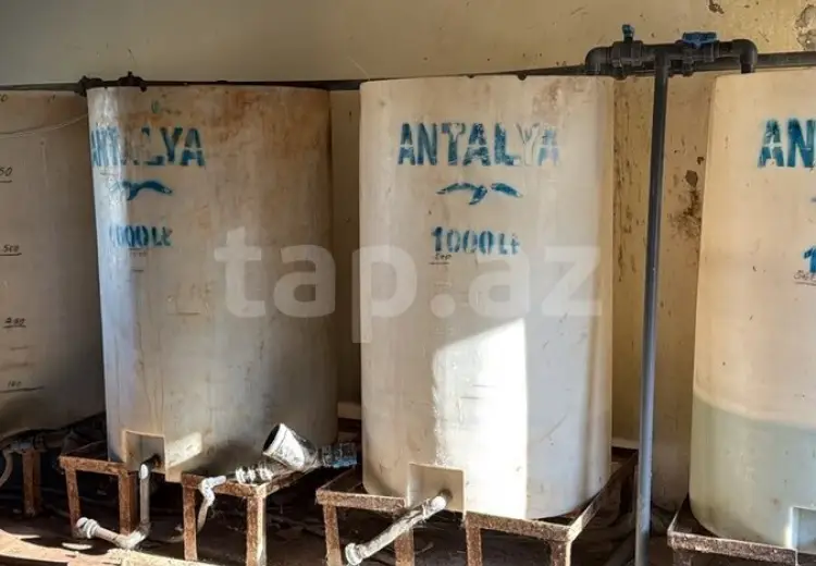0 m² Obyekt / Ofis , Salyan