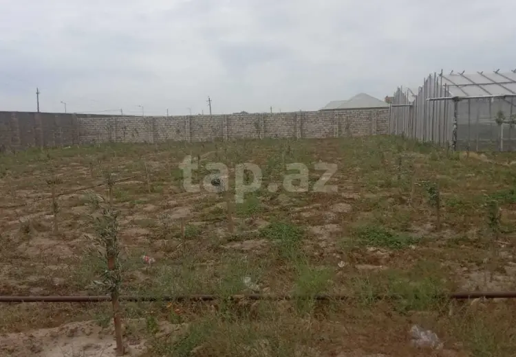 0 m² Obyekt / Ofis , Zirə, Xəzər, Bakı