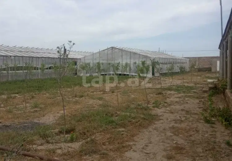 0 m² Obyekt / Ofis , Zirə, Xəzər, Bakı