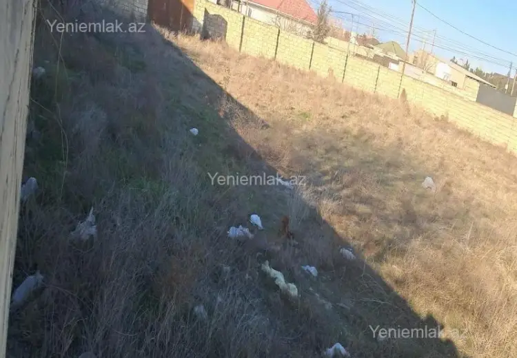 24 sot Torpaq Satılır, Kürdəxanı qəs., Sabunçu, Bakı