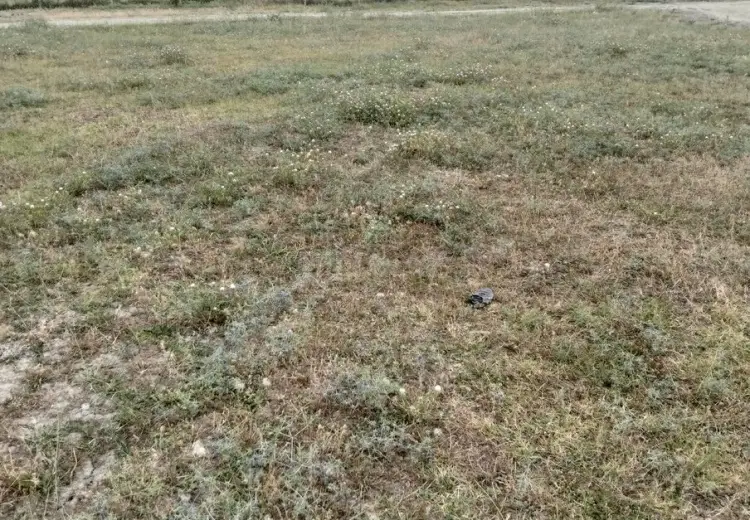 30 sot Torpaq Satılır, Xaçmaz