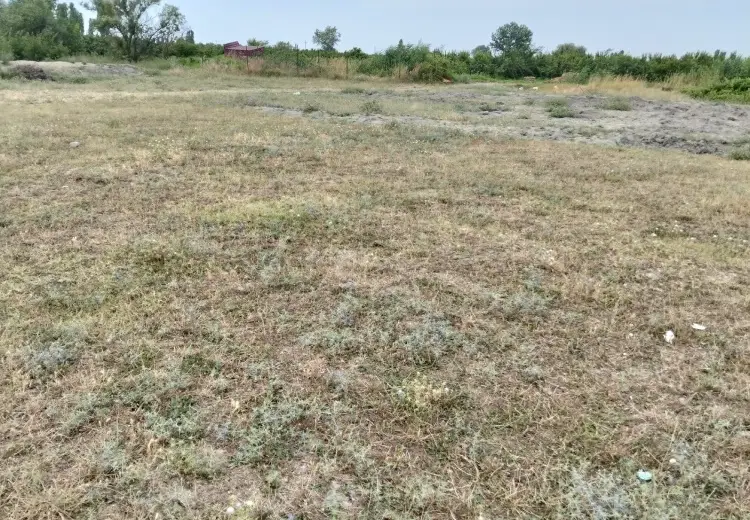 30 sot Torpaq Satılır, Xaçmaz