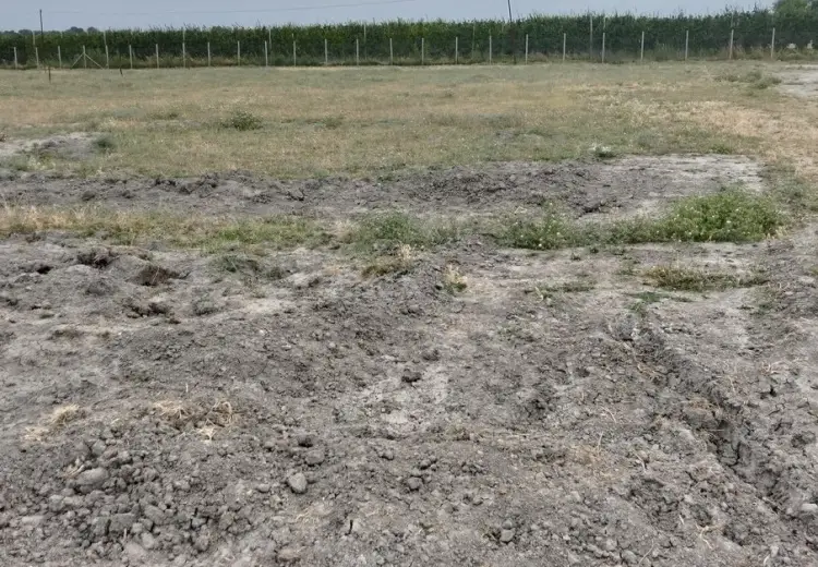 30 sot Torpaq Satılır, Xaçmaz