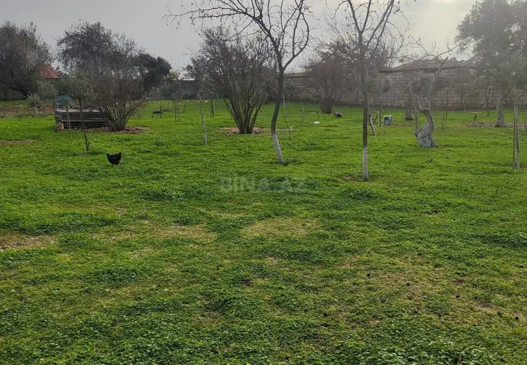 6 sot Torpaq Satılır, Türkan, Xəzər, Bakı