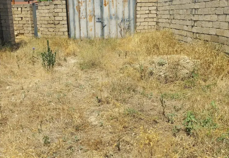 12 sot Torpaq Satılır, Sabunçu, Bakı