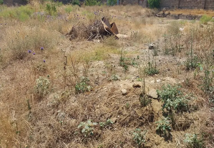 0 m² Obyekt / Ofis , Albalı qəs., Sabunçu, Bakı