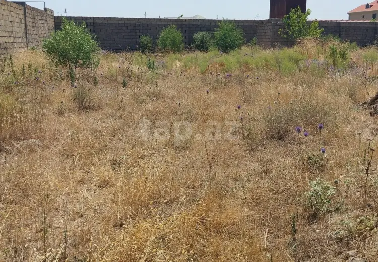 0 m² Obyekt / Ofis , Albalı qəs., Sabunçu, Bakı