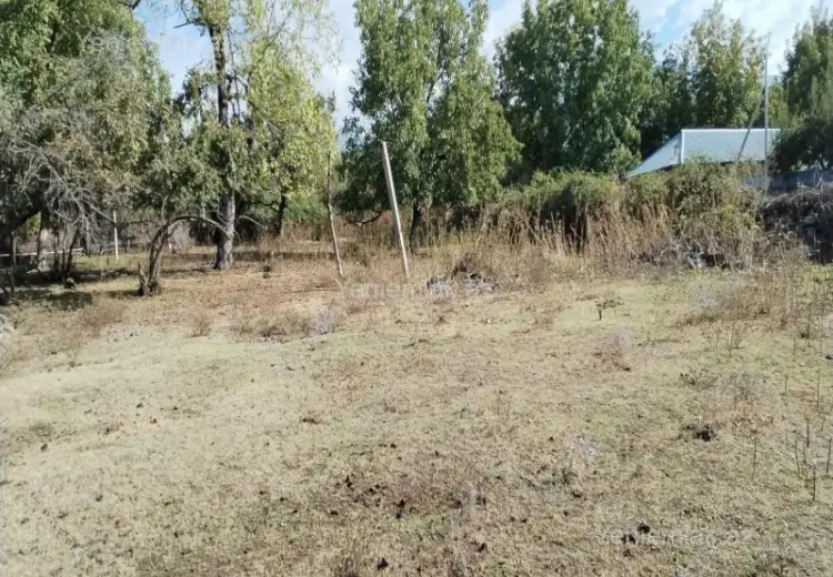 15 sot Torpaq Satılır, Oğuz