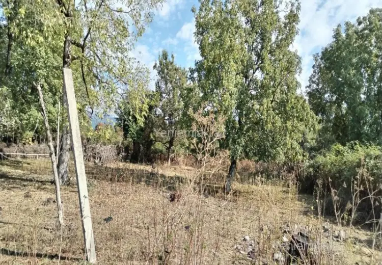 15 sot Torpaq Satılır, Oğuz