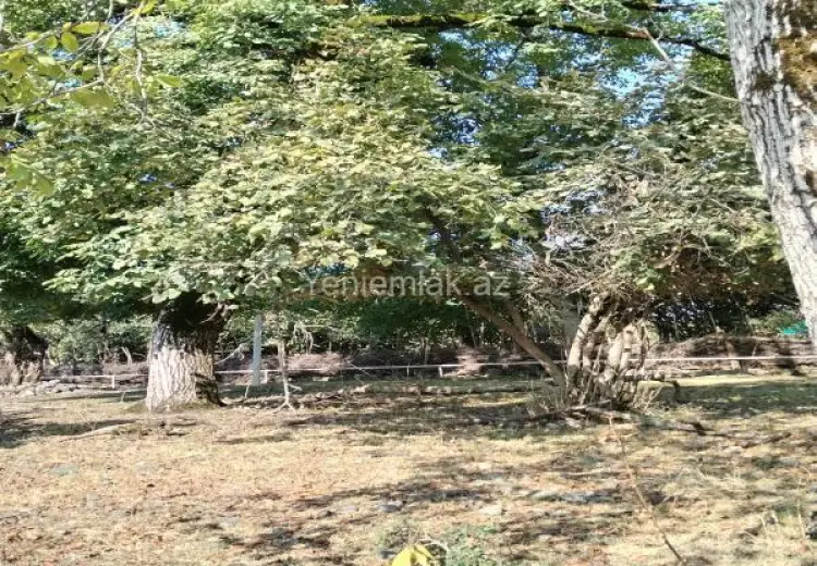 15 sot Torpaq Satılır, Oğuz