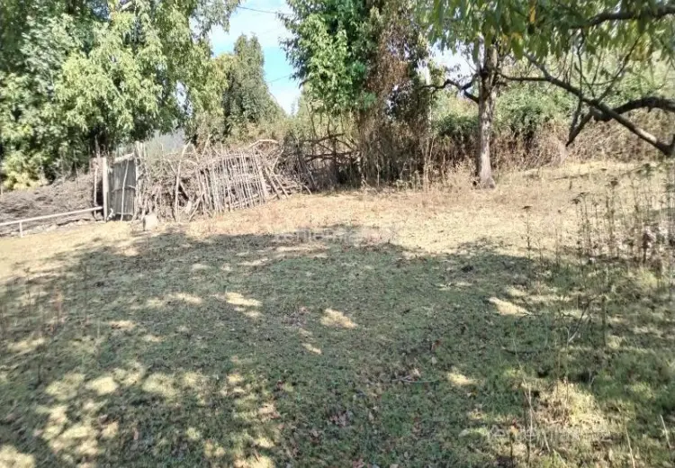 15 sot Torpaq Satılır, Oğuz