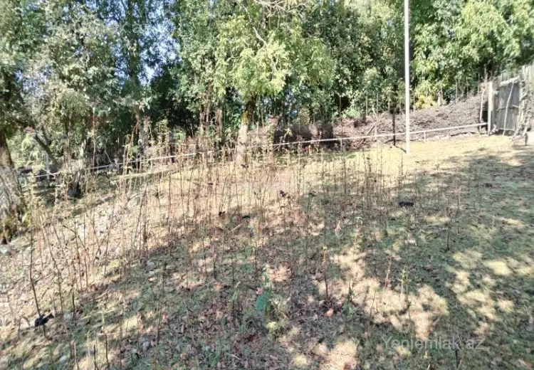 15 sot Torpaq Satılır, Oğuz