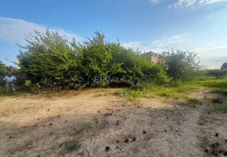 25 sot Torpaq Satılır, Bilgəh qəs., Sabunçu, Bakı