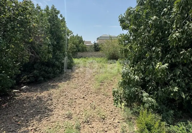 3 otaqlı mənzil , Şirvan