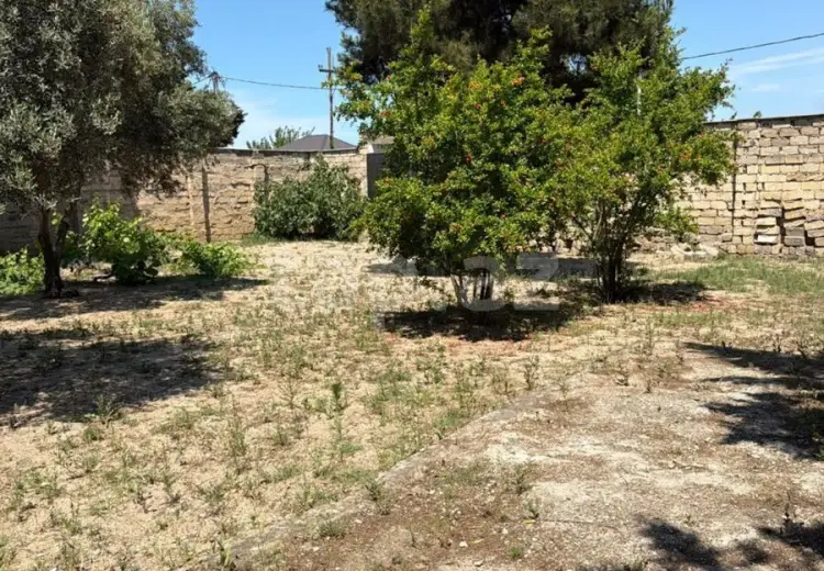 0 m² Obyekt / Ofis , Bakı