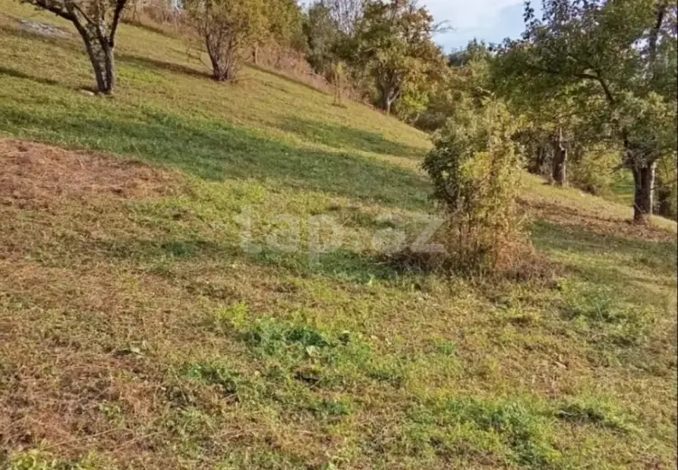 0 m² Obyekt / Ofis , Bakı