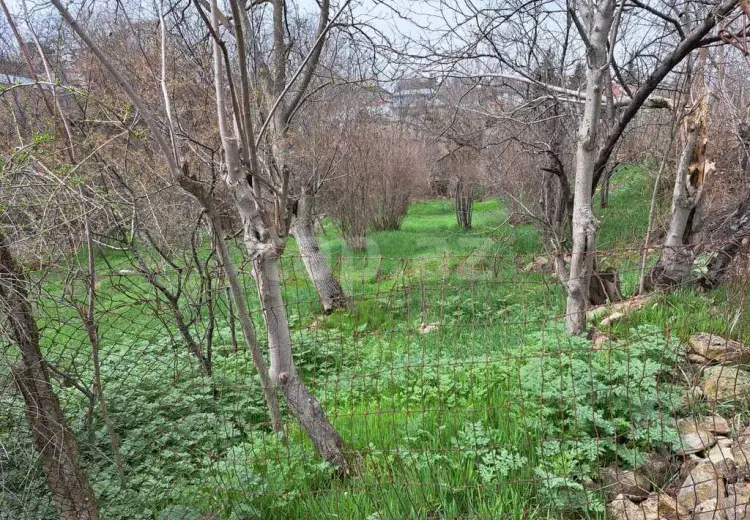 3 otaqlı mənzil , Şamaxı