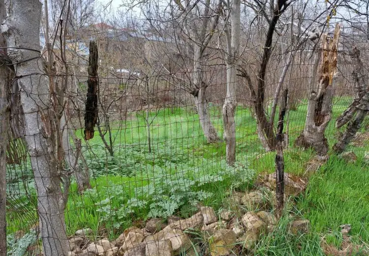 3 otaqlı mənzil , Şamaxı