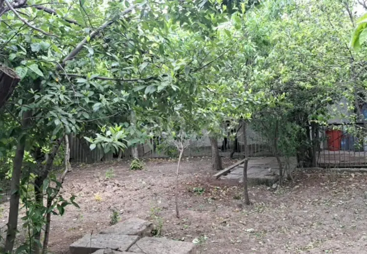 3 otaqlı mənzil , Şamaxı