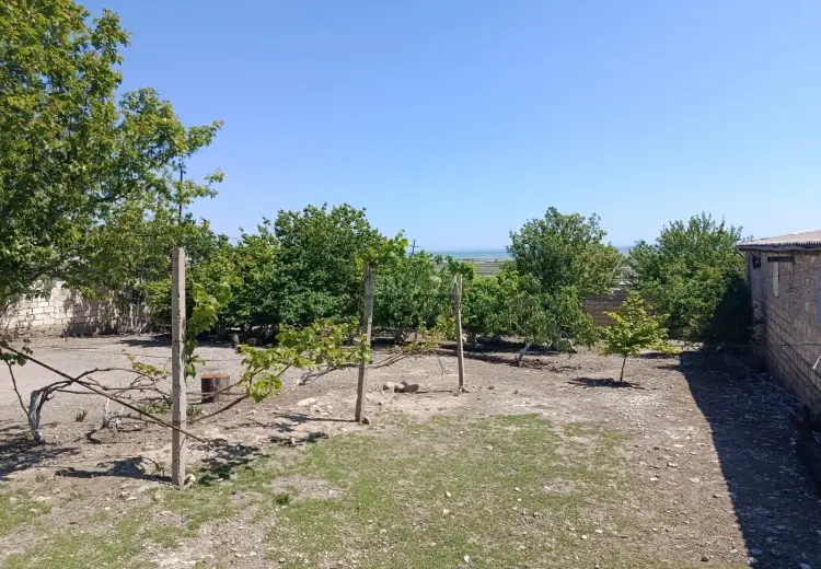 12000 m² Obyekt / Ofis Satılır, Siyəzən