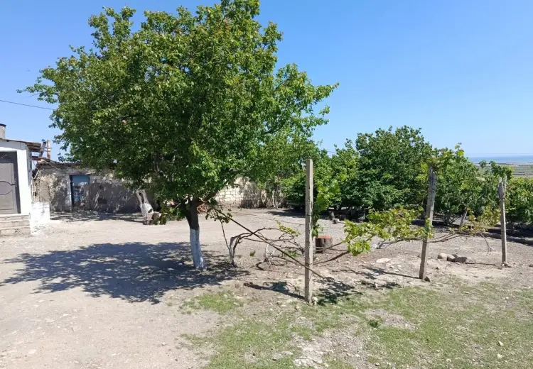 12000 m² Obyekt / Ofis Satılır, Siyəzən