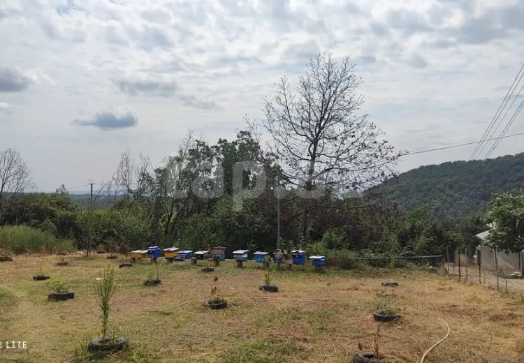 0 m² Obyekt / Ofis , Qəbələ