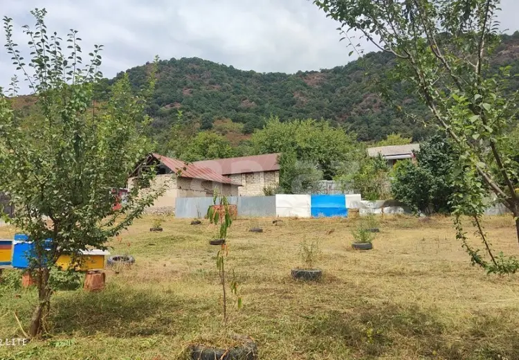 0 m² Obyekt / Ofis , Qəbələ