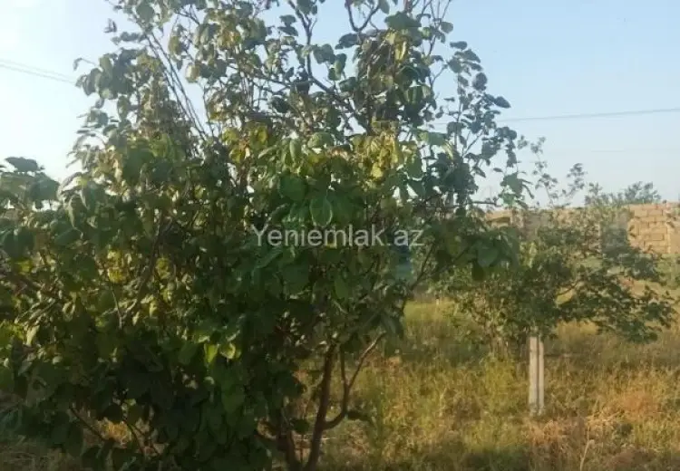 6 sot Torpaq Satılır, Sumqayıt
