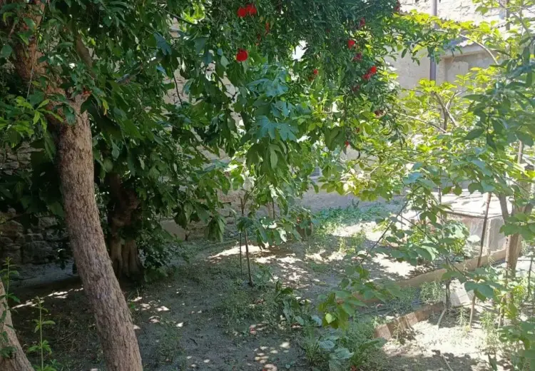 2 sot Torpaq Satılır, Əmircan qəs., Suraxanı, Bakı