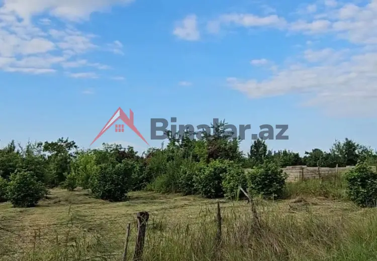 8 sot Torpaq Satılır, Sumqayıt