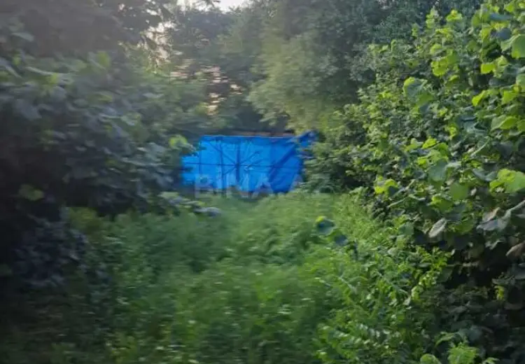 100 sot Torpaq Satılır, Xaçmaz