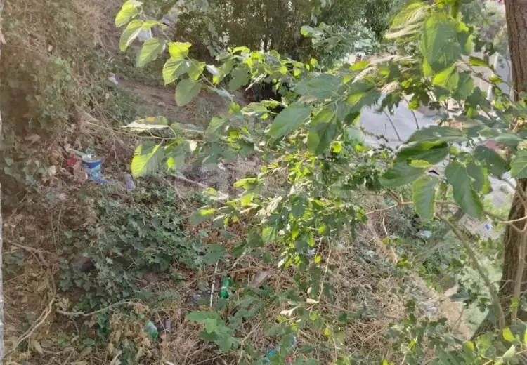 0 m² Obyekt / Ofis , Bakı