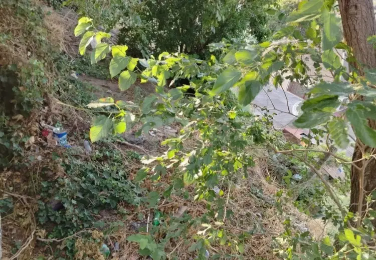 0 m² Obyekt / Ofis , Bakı