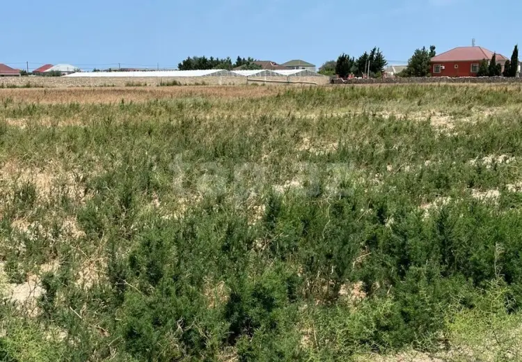 0 m² Obyekt / Ofis , Türkan, Xəzər, Bakı