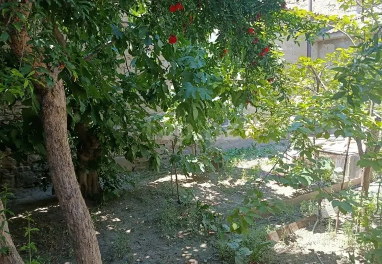 0 m² Obyekt / Ofis , Əmircan qəs., Suraxanı, Bakı