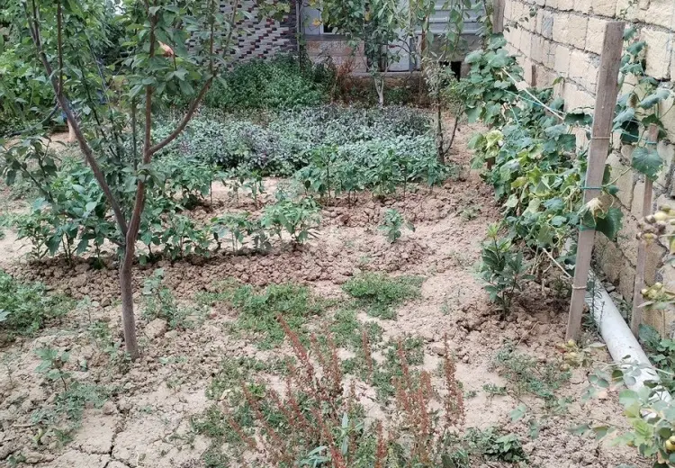 4 otaqlı mənzil , Sumqayıt