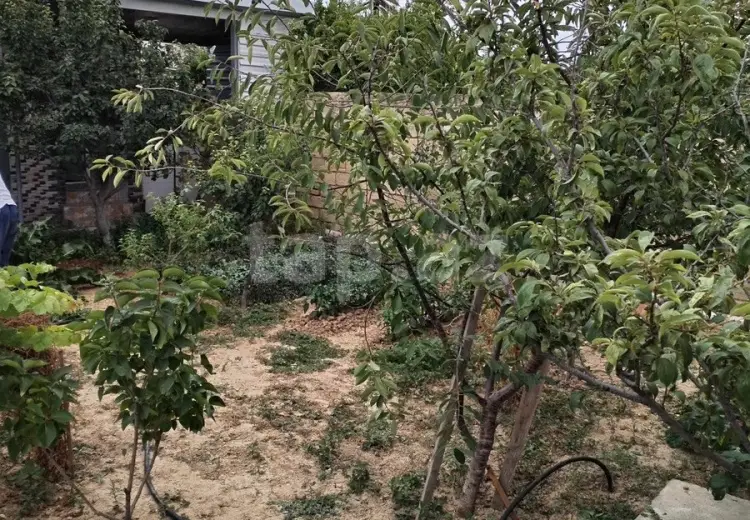 4 otaqlı mənzil , Sumqayıt
