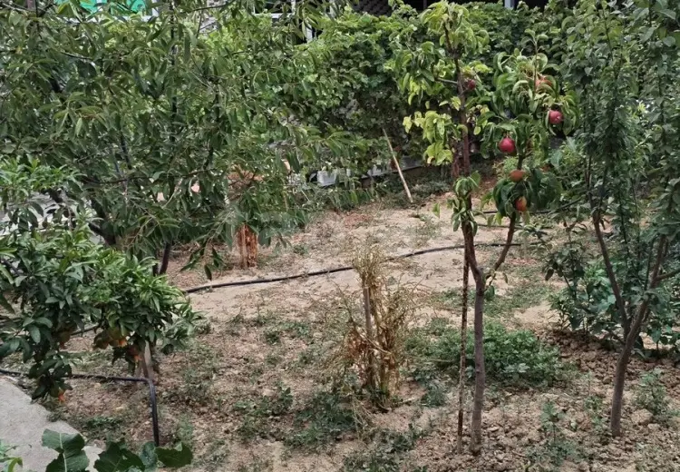 4 otaqlı mənzil , Sumqayıt