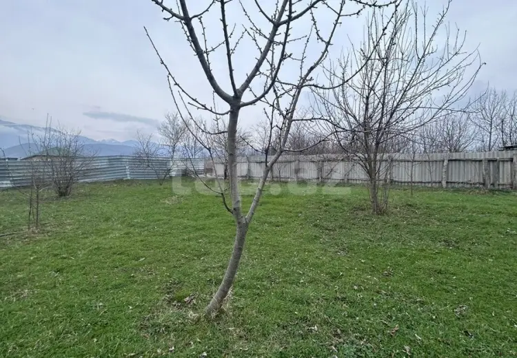 0 m² Obyekt / Ofis , Qəbələ
