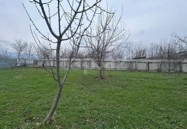 0 m² Obyekt / Ofis , Qəbələ