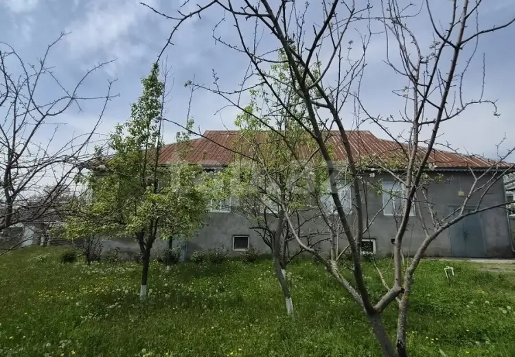 0 m² Obyekt / Ofis , Qəbələ