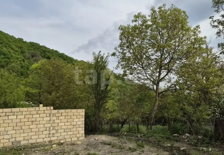 0 m² Obyekt / Ofis , Qəbələ